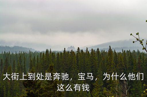 大街上到處是奔馳，寶馬，為什么他們這么有錢(qián)