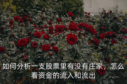 如何分析一支股票里有沒(méi)有莊家，怎么看資金的流入和流出