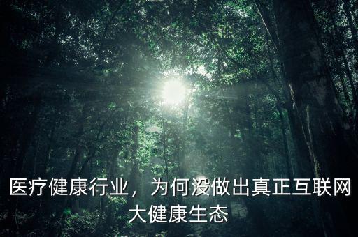 醫(yī)療健康行業(yè)，為何沒做出真正互聯(lián)網(wǎng)大健康生態(tài)
