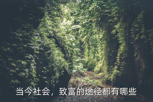 當(dāng)今社會，致富的途徑都有哪些