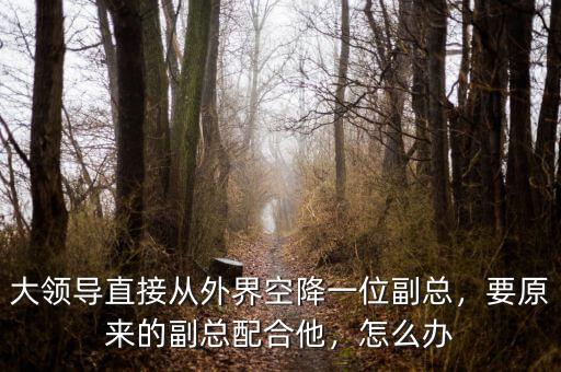大領(lǐng)導(dǎo)直接從外界空降一位副總，要原來的副總配合他，怎么辦