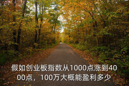 假如創(chuàng)業(yè)板指數(shù)從1000點漲到4000點，100萬大概能盈利多少