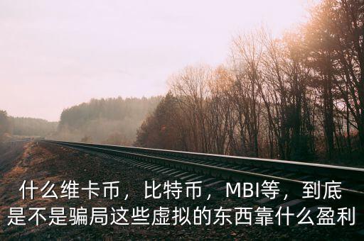 什么維卡幣，比特幣，MBI等，到底是不是騙局這些虛擬的東西靠什么盈利