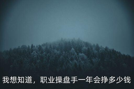 我想知道，職業(yè)操盤手一年會(huì)掙多少錢