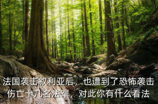 法國襲擊敘利亞后，也遭到了恐怖襲擊傷亡十幾名法軍，對此你有什么看法