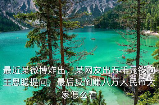 最近某微博炸出，某網(wǎng)友出五千元錢向王思聰提問，最后反倒賺八萬人民幣大家怎么看