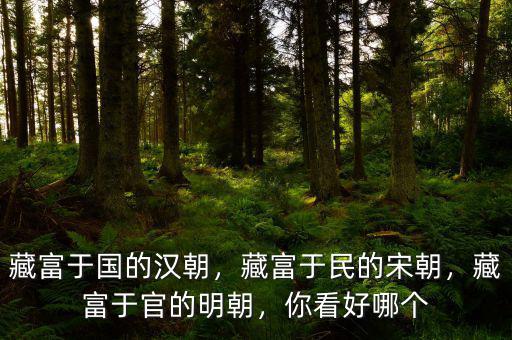 藏富于國的漢朝，藏富于民的宋朝，藏富于官的明朝，你看好哪個(gè)