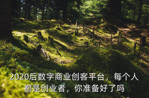 2020后數(shù)字商業(yè)創(chuàng)客平臺(tái)，每個(gè)人都是創(chuàng)業(yè)者，你準(zhǔn)備好了嗎