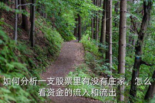 如何分析一支股票里有沒有莊家，怎么看資金的流入和流出