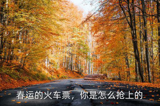 春運(yùn)的火車票，你是怎么搶上的