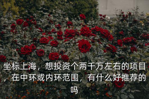 坐標(biāo)上海，想投資個(gè)兩千萬(wàn)左右的項(xiàng)目，在中環(huán)或內(nèi)環(huán)范圍，有什么好推薦的嗎
