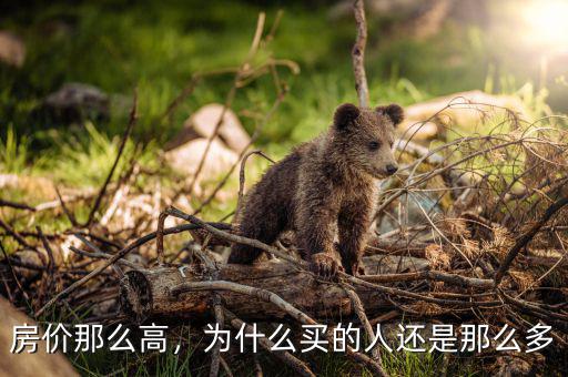 房價那么高，為什么買的人還是那么多