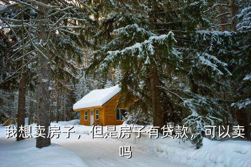 我想賣房子，但是房子有貸款，可以賣嗎