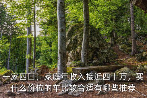 一家四口，家庭年收入接近四十萬，買什么價位的車比較合適有哪些推薦