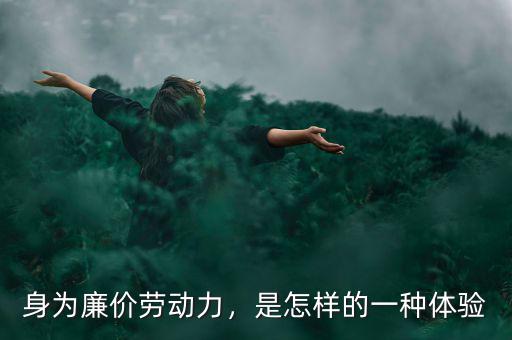 身為廉價勞動力，是怎樣的一種體驗(yàn)