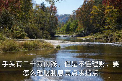 手頭有二十萬(wàn)閑錢，但是不懂理財(cái)，要怎么理財(cái)利息高點(diǎn)求指點(diǎn)