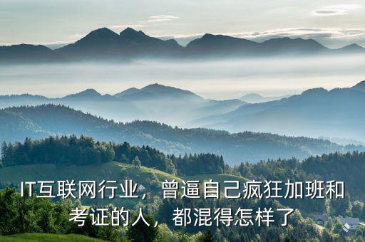 IT互聯(lián)網(wǎng)行業(yè)，曾逼自己瘋狂加班和考證的人，都混得怎樣了