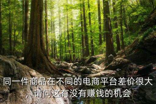 同一件商品在不同的電商平臺(tái)差價(jià)很大，請(qǐng)問這有沒有賺錢的機(jī)會(huì)