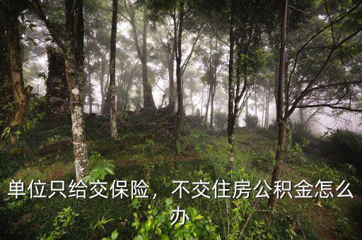 單位只給交保險，不交住房公積金怎么辦