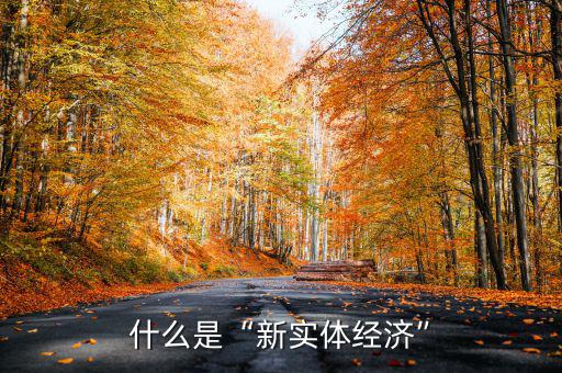 什么是“新實體經濟”