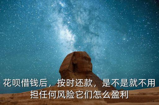 花唄借錢(qián)后，按時(shí)還款，是不是就不用擔(dān)任何風(fēng)險(xiǎn)它們?cè)趺从? class=