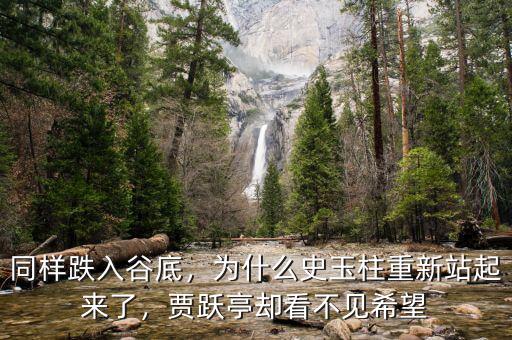 同樣跌入谷底，為什么史玉柱重新站起來了，賈躍亭卻看不見希望