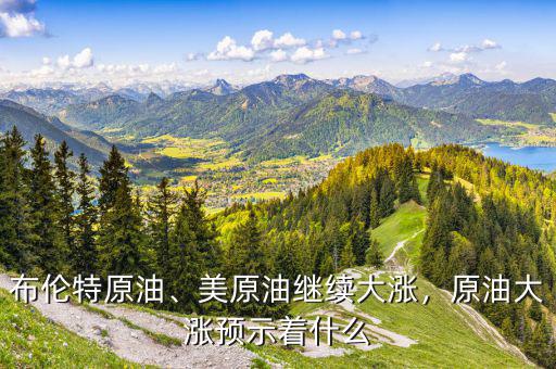 布倫特原油、美原油繼續(xù)大漲，原油大漲預(yù)示著什么