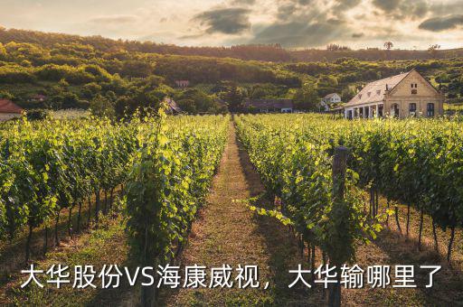 ?？低曉趺闯钟泄煞?寧德時(shí)代和?？低?/></a></span><span id=