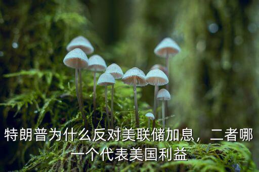 特朗普為什么反對美聯儲加息，二者哪一個代表美國利益