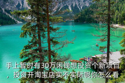 手上暫時(shí)有30萬(wàn)閑錢(qián)想投資個(gè)新項(xiàng)目，投資開(kāi)淘寶店實(shí)不實(shí)際呢你怎么看