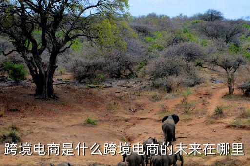 為什么俄羅斯女性會經常在跨境電商上消費,為什么到處都在宣傳跨境電商