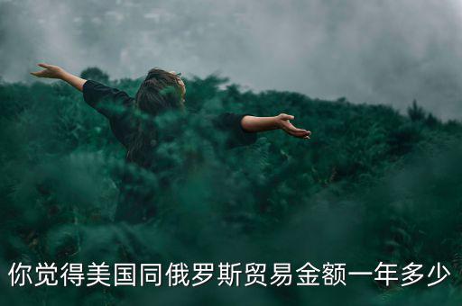 你覺得美國(guó)同俄羅斯貿(mào)易金額一年多少