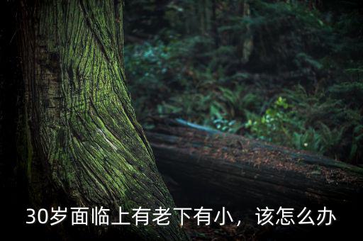 30歲面臨上有老下有小，該怎么辦
