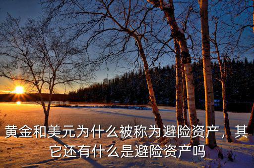 黃金和美元為什么被稱為避險資產(chǎn)，其它還有什么是避險資產(chǎn)嗎