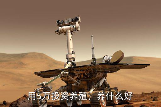 用5萬投資養(yǎng)殖，養(yǎng)什么好