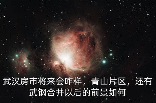 武漢房市將來會(huì)咋樣，青山片區(qū)，還有武鋼合并以后的前景如何