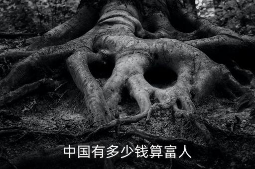 中國(guó)有多少錢(qián)算富人