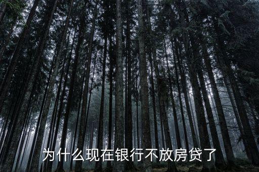 為什么現(xiàn)在銀行不放房貸了