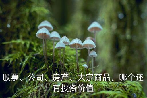 股票、公司、房產(chǎn)、大宗商品，哪個(gè)還有投資價(jià)值