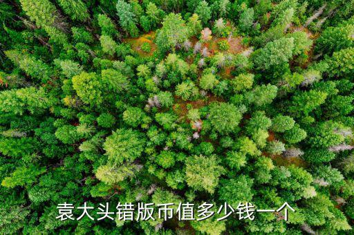 袁大頭錯(cuò)版幣值多少錢(qián)一個(gè)