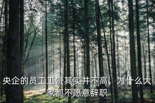 央企的員工工資其實并不高，為什么大家都不愿意辭職