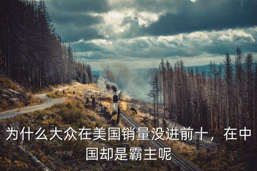 為什么大眾在美國(guó)銷(xiāo)量沒(méi)進(jìn)前十，在中國(guó)卻是霸主呢