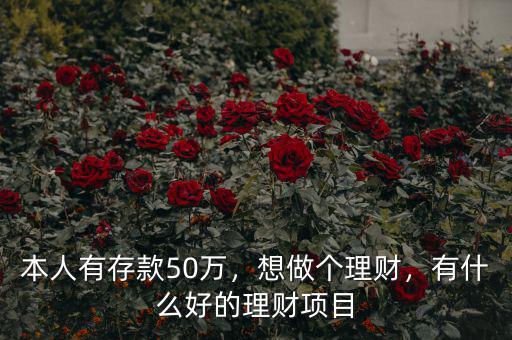 本人有存款50萬(wàn)，想做個(gè)理財(cái)，有什么好的理財(cái)項(xiàng)目
