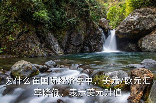 為什么在國際經(jīng)濟(jì)學(xué)中，美元/歐元匯率降低，表示美元升值