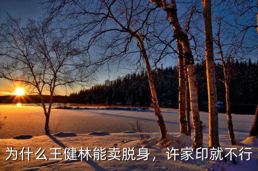 王健林為什么不玩足球,萬達為什么又接手大連足球