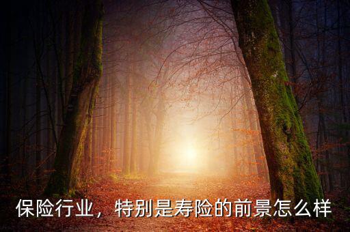保險(xiǎn)行業(yè)，特別是壽險(xiǎn)的前景怎么樣