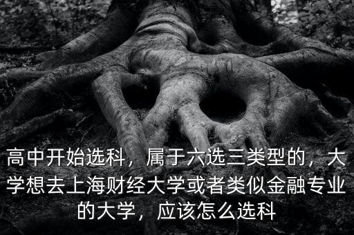 高中開始選科，屬于六選三類型的，大學(xué)想去上海財經(jīng)大學(xué)或者類似金融專業(yè)的大學(xué)，應(yīng)該怎么選科