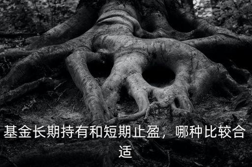 基金長期持有和短期止盈，哪種比較合適