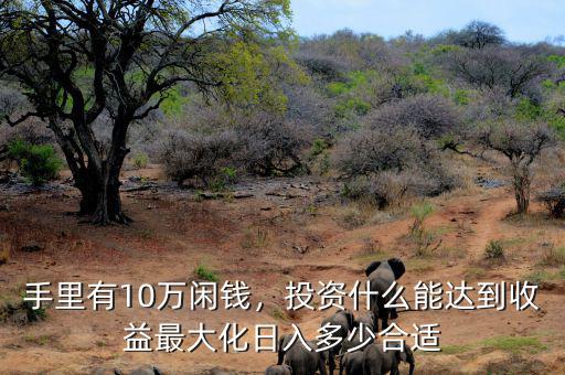 手里有10萬閑錢，投資什么能達到收益最大化日入多少合適