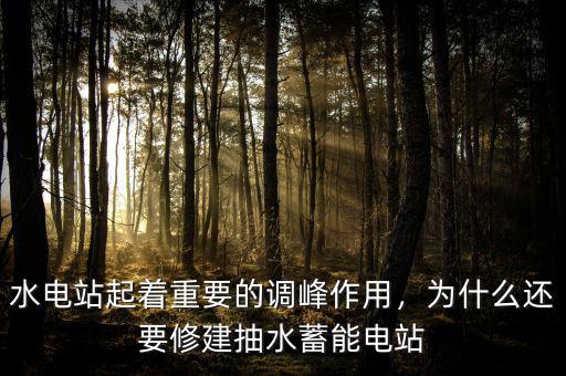 水電站起著重要的調(diào)峰作用，為什么還要修建抽水蓄能電站